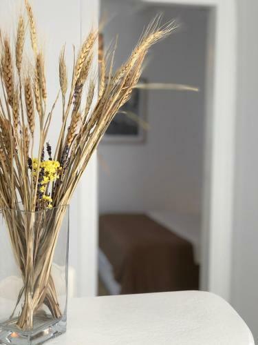 Apartamento Ninemia Suites