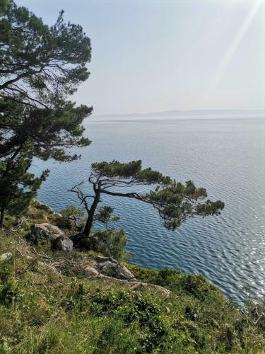 Apartmani Kike