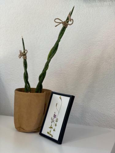 Apartamento Makarska Gallery