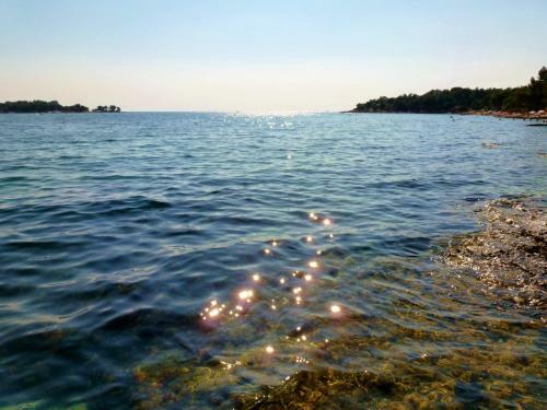 Apartments Samsa - Borik