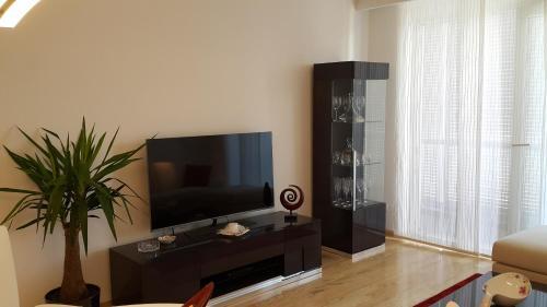 Luxury Apartment