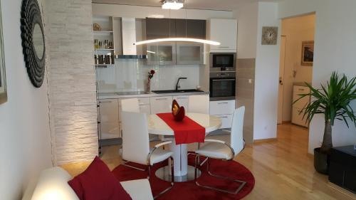 Luxury Apartment