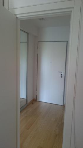 Luxury Apartment