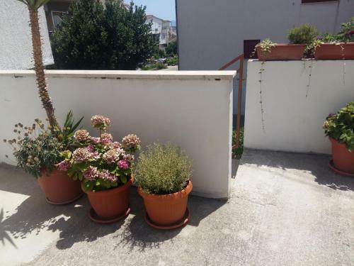 Hostal Guesthouse Maestral