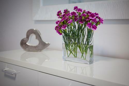 Old City Luxury Apartment Iris