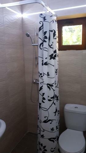 Hostal Pensiunea Regal