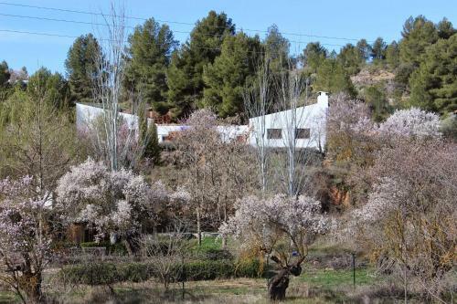 Slow Life Camping Venta Del Moro