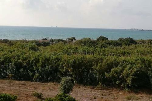 Apartamento Playa Canet