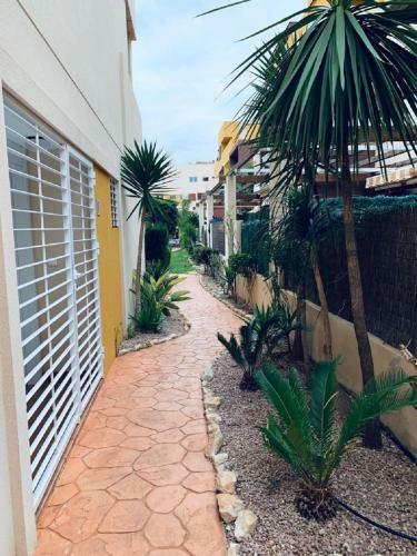 Apartament Dora "ozonizado"