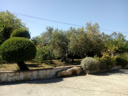 Casa Rural El Pinsapo
