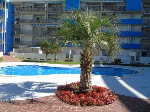 Apartamento Appartement Avec Attico Et Piscine