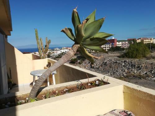 Beautiful Apartment In Residence Mare Verde
