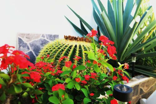 Sunny Villa Holiday Home