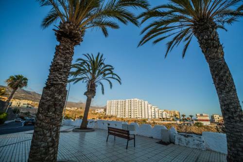 The Ocean Garden Apartment In Playa Paraiso