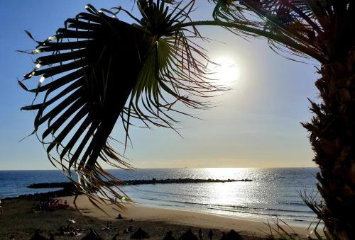 Apartamento Parque Royal Torviscas Playa