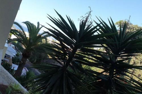 Apartamento Mareverde Green Studio Tenerife