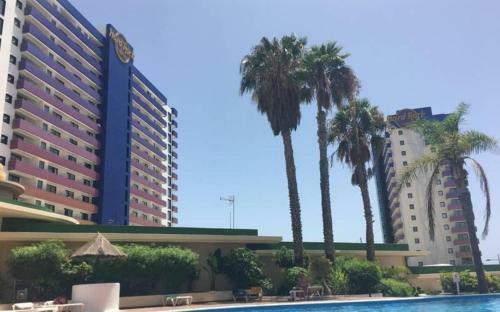 Apartamento Sea View - Playa Paraiso