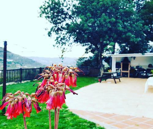 Lodge Casa Molina