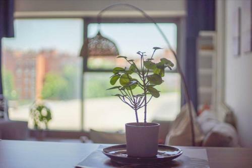 Apartamento Penthouse Duplex With Indoor Swimming Pool And Spa