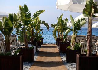 Hotel Elysee Palace