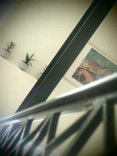 Andromeda Apartments & Studios