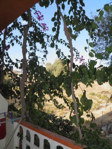 Hostal Crysalis Studios
