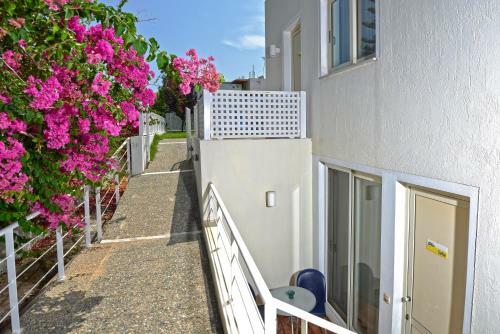 Oliv Apartments