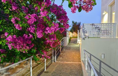 Oliv Apartments