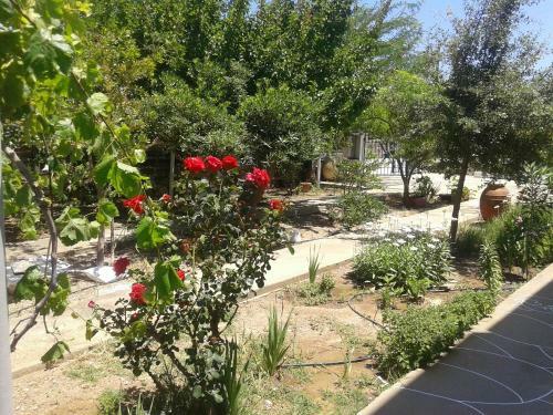 Apartamento Katerina Rooms