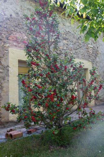 Agroturismo Casa Rural El Cedro