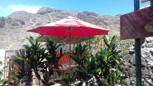 Hostal Lagarto