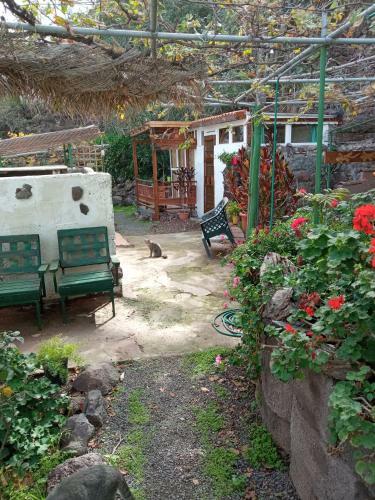 Hostal Lagarto