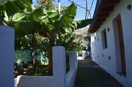 Apartamento Casa Camino Tamadaba