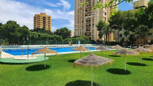 Apartamento Lyrioshomes Paseo Del Palmeral Beach
