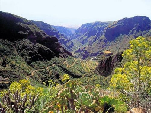 Apartamento La Cuadra Finca El Calabr�s