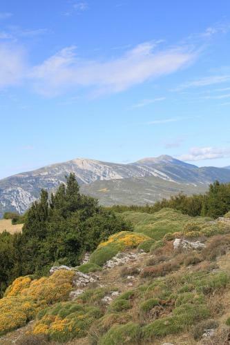 Apartamento Monteperdido
