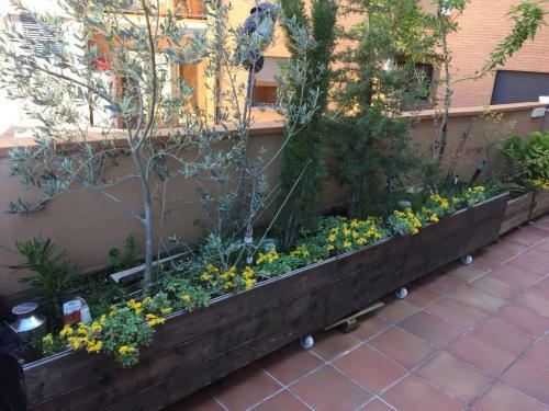 Apartamento Biok Ainsa Ordesa-monte Perdido'