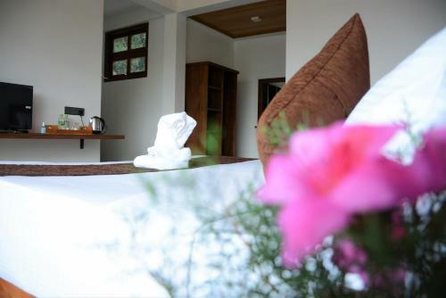 Hotel Icy Falls - Ohiya