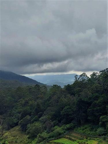 Hotel Icy Falls - Ohiya