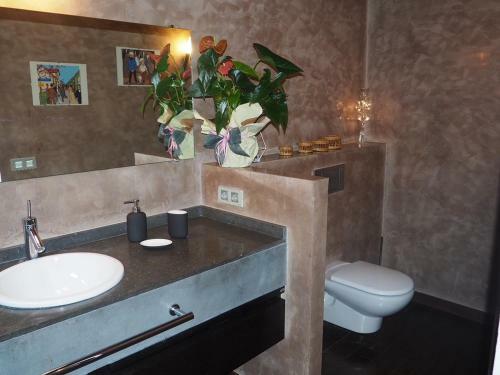 Bed & Breakfast Ca L?andreu Suites