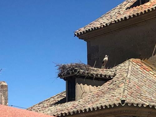 Apartamento Alojamiento Museo Carmelitano Alba de Tormes