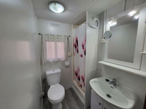 Mobil Home 3 Dormitorios P3