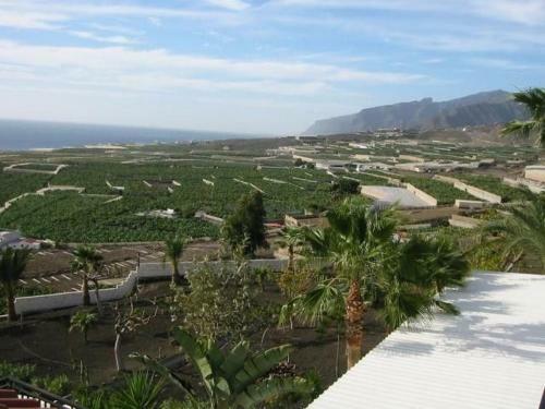 Casa Flores Finca Alcal�