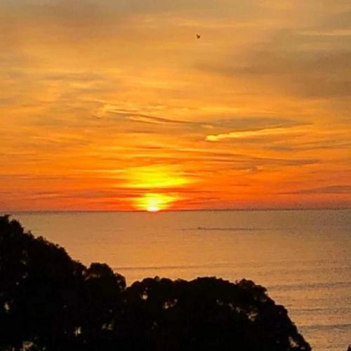 Apartamento Quinta Barracuda Albufeira