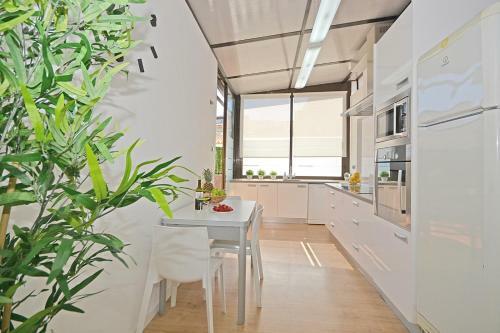 Apartment Can Xus