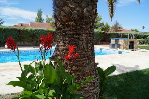 Agroturismo La Aldea