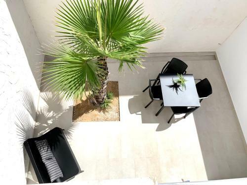 Albergue Studio Palomar