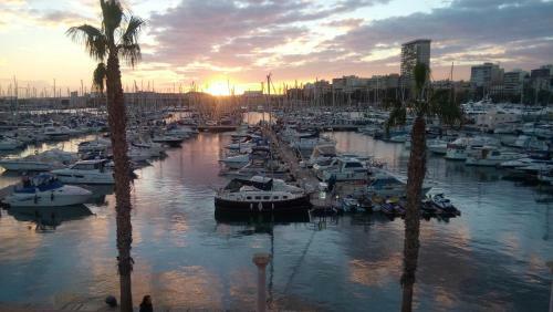 Albergue Love Alicante