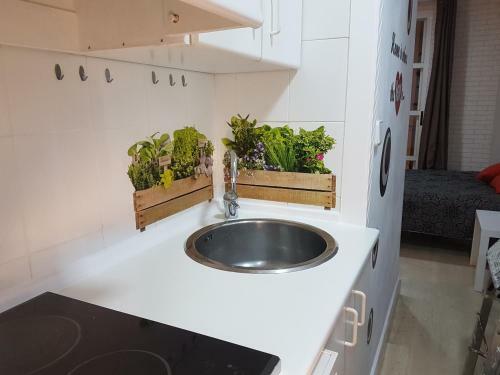 Apartamento Loft Pasarela