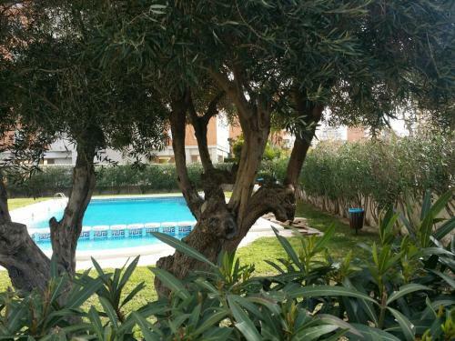 Apartamento Parkview Near Beach
